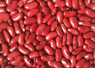 Haricots rouges exportés au Yémen