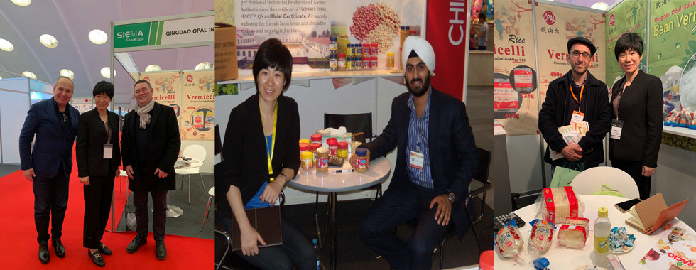 Bean Vermicelli vert