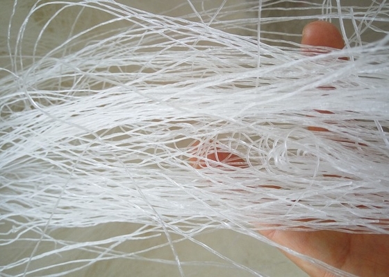 OEM Longkou Vermicelli Noodles pour l'emballage personnalisé et la marque