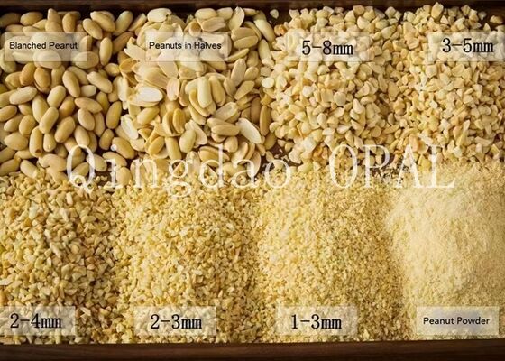 Noyaux d'arachide décortiqués et blanchis de première qualité, conformes HALAL et UE, arachides crues sans peau pour l'importation