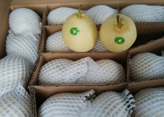 Poire blanche chinoise croquante