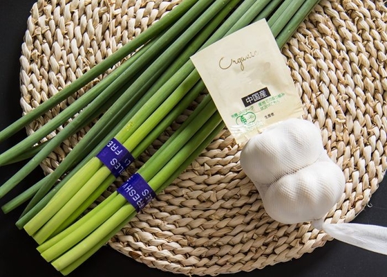 Boulon frais d'ail de HACCP