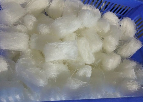 Cuisson de Mung Bean Glass Noodles