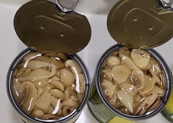 Champignon de champignon de paris en boîte par sel
