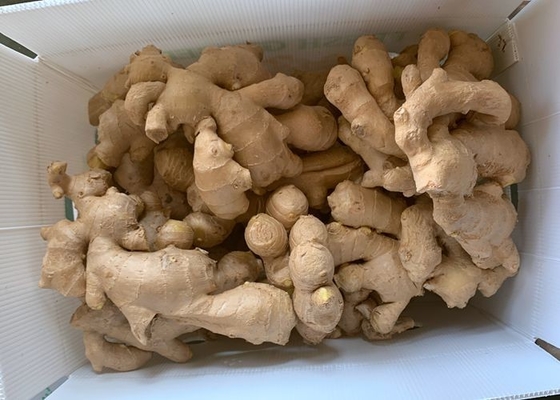 gingembre 300g sec par air jaune