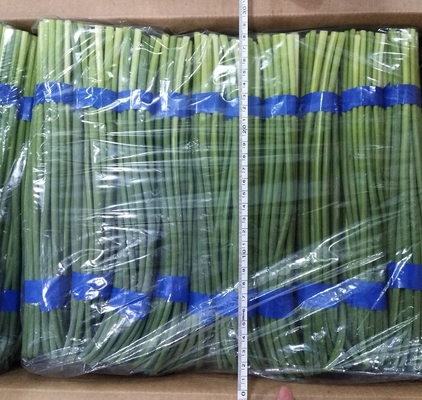 Boulon frais d'ail de HACCP