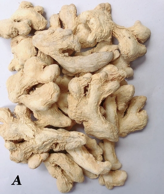Ginger séché déshydraté