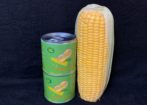 HALAL aucun goût ouvert facile de GMO bon n'a mis en boîte le maïs