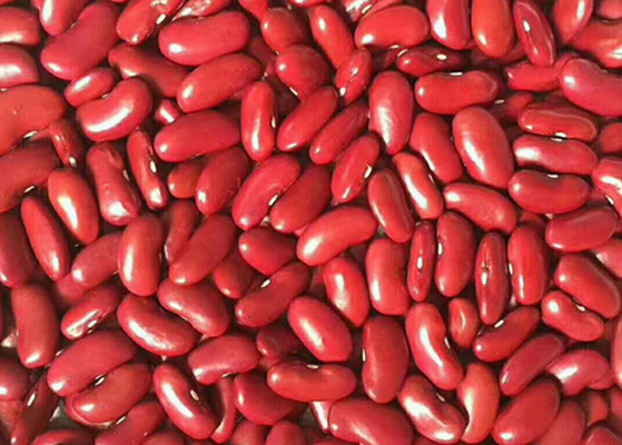 Haricots rouges exportés au Yémen